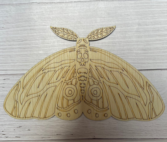 Moth Unfinished Scored Wood Plaque. DIY wood cutout. Wood mandala blank.