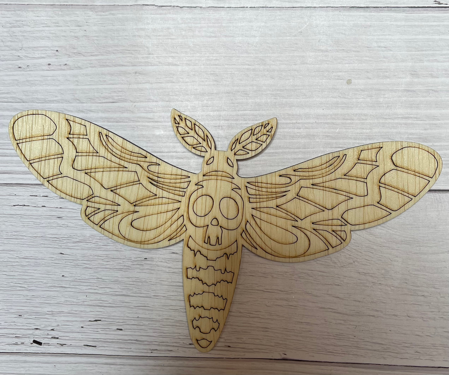 Moth Unfinished Scored Wood Plaque. DIY wood cutout. Wood mandala blank.