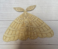 Moth Unfinished Scored Wood Plaque. DIY wood cutout. Wood mandala blank.